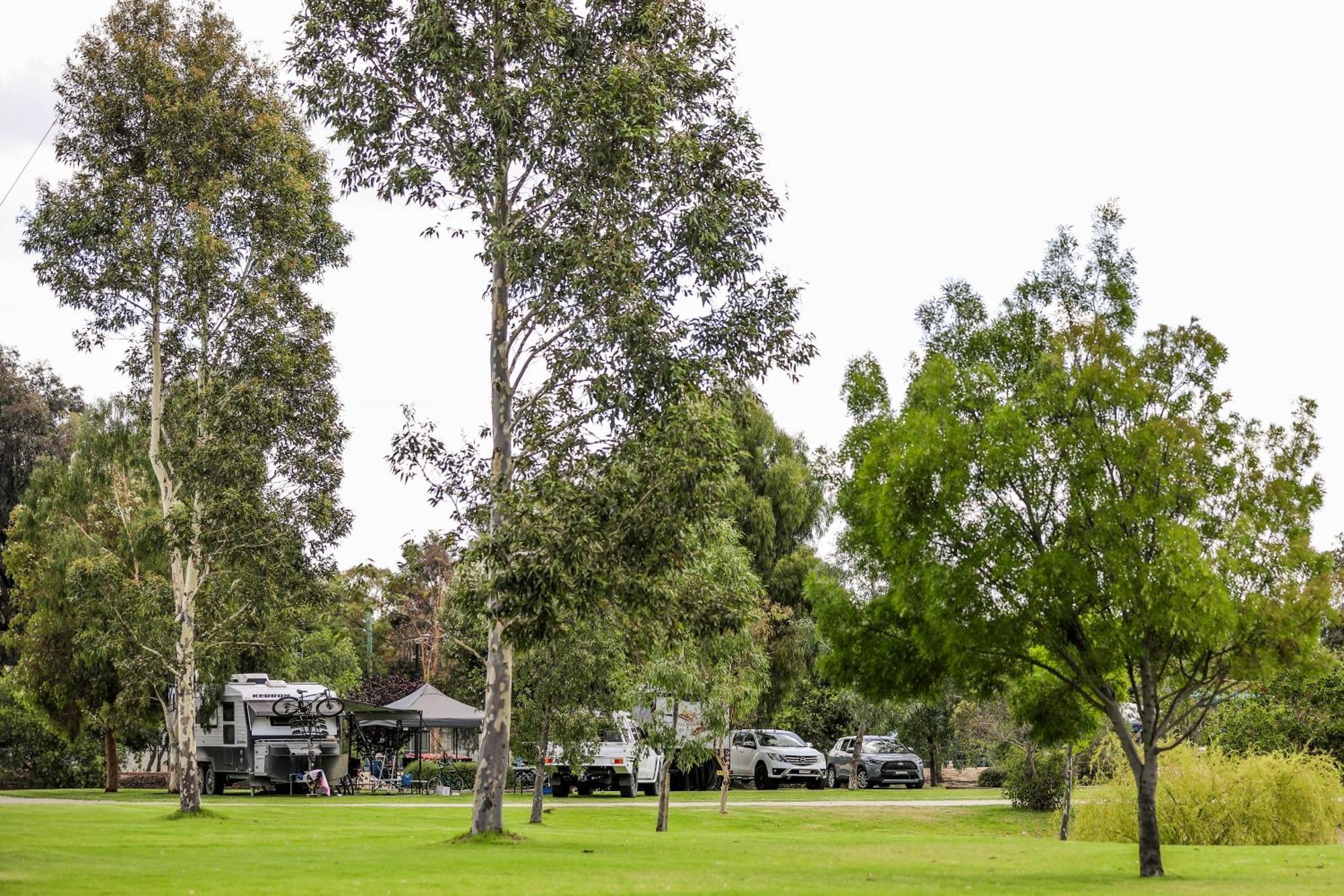 Discovery Parks - Moama Waters Εξωτερικό φωτογραφία