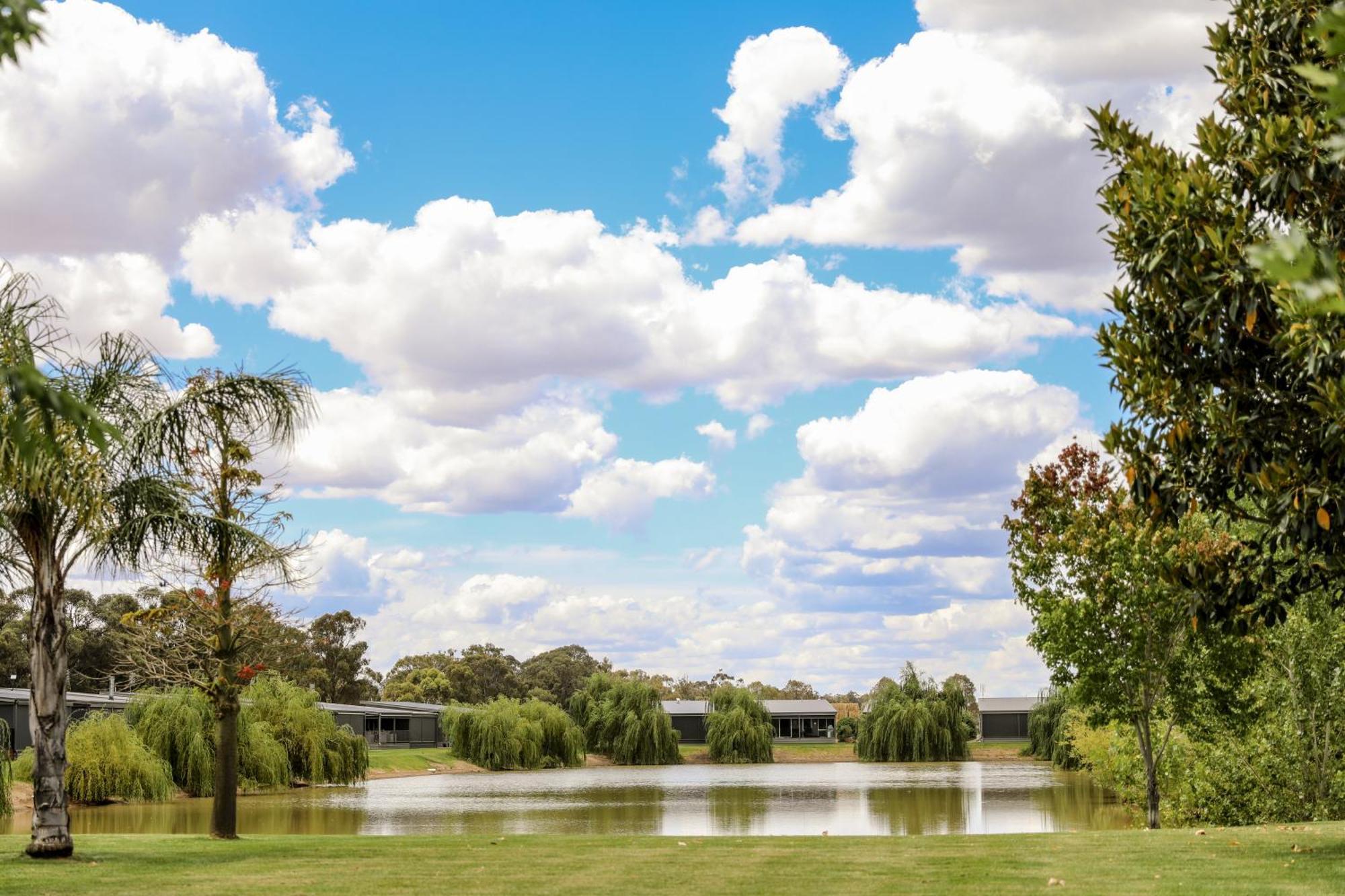 Discovery Parks - Moama Waters Εξωτερικό φωτογραφία